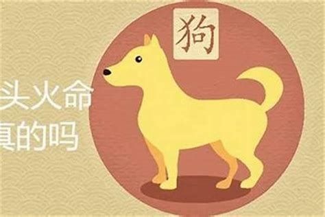 狗是什么号码|生肖为狗的人合适的手机号码 旺财吉祥的手机数字